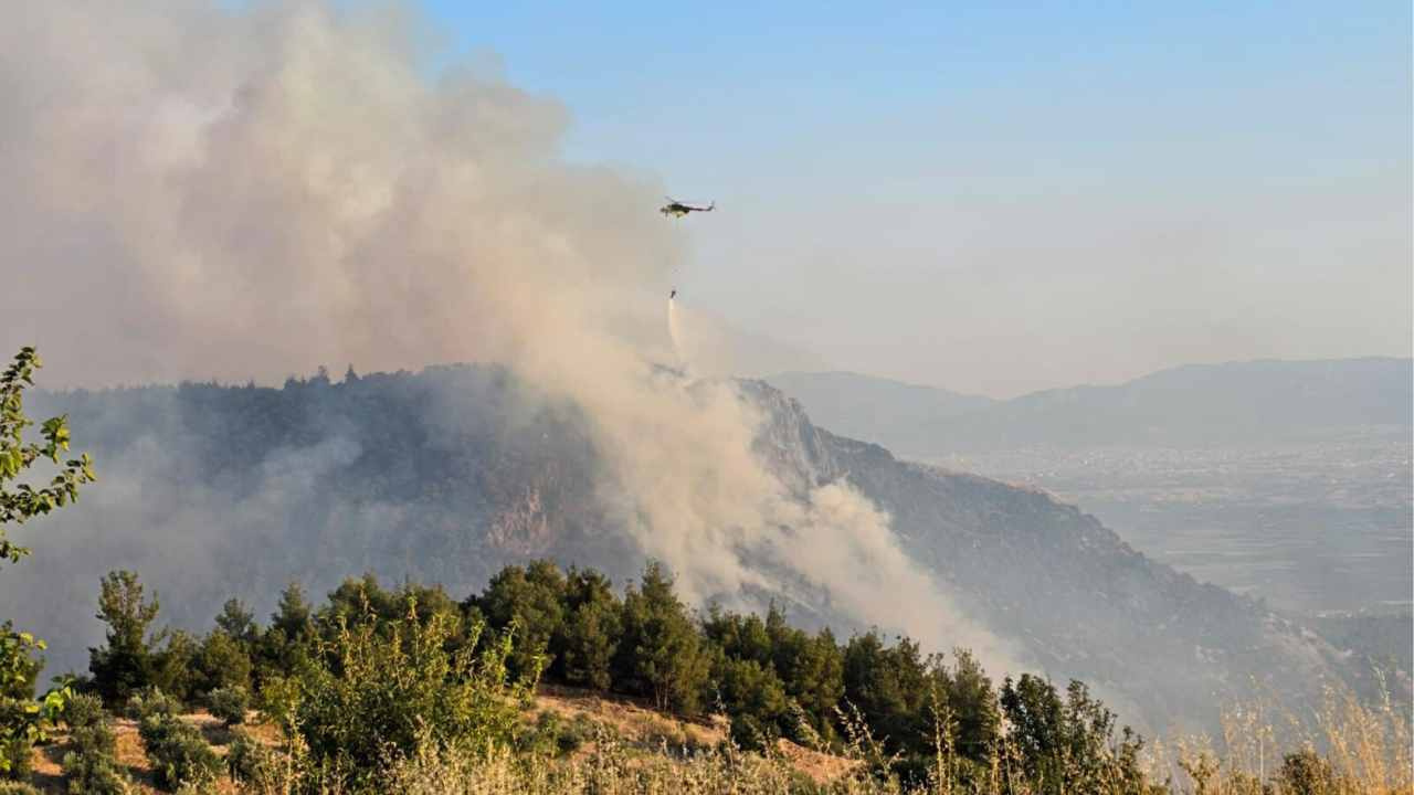 Denizlideki orman yangini 14 saatte kontrol altina alindi dOaEiRKi