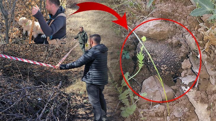 Kopeklerle adim adim arayip buldular topragin 5 ila 20 santimetre altinda 30 milyon tllik cS78RHl8